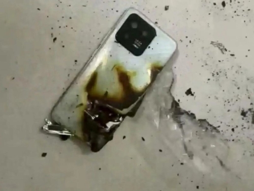 SPASILA GA BATERIJA: Medvjed ga svukao s drveta, a onda mu je eksplodirao mobitel u džepu