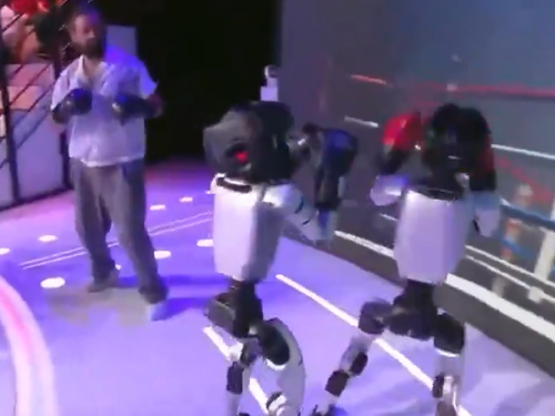 NESVAKIDAŠNJI SNIMAK IZ FRANCUSKE: Čovjek se ozbiljno potukao sa robotima, pogledajte kako je završilo (VIDEO)